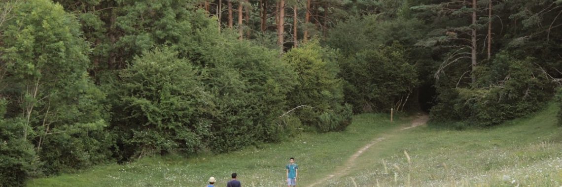 people walking on green grass field near green trees during daytime